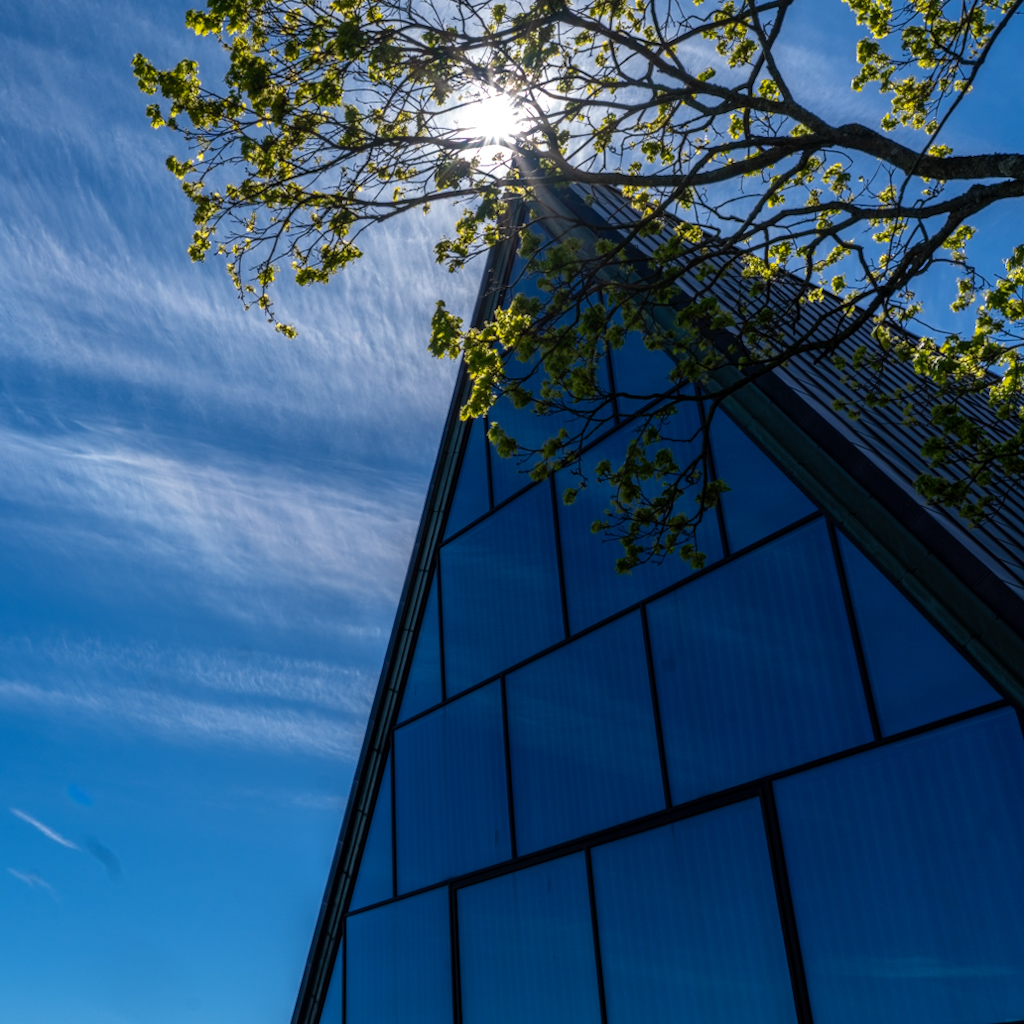 Photography by Chris Allington